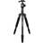 Kiwifotos KTB-1444 + Ball Head