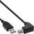 InLine Down Angle USB A-USB B 2.0 1m