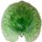 Costa Nova Riviera Serving Dish 18cm