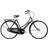Raleigh Tourist de Luxe 7 Gear 2019