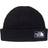 The North Face Salty Dog Beanie - TNF Black