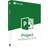 Microsoft Project Professional 2019