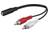 MicroConnect 2RCA-3.5mm M-F 0.2m