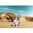Komar Star Wars Lost Droids (8-484)