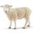 Schleich Sheep 13882