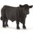 Schleich Black Angus Bull 13879