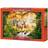 Castorland Royal Family 1000 Pieces