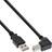 InLine Down Angled USB A-USB B 2.0 3m