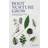 Root, Nurture, Grow (Hardback, 2018) (Indbundet, 2018)