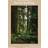 The Healing Magic of Forest Bathing (Indbundet, 2019)