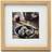 Focus Rock Ram 15x15cm
