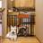 Carlson Design Paw Auto Close Gate