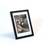 Focus Rock Ram 20x20cm