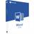 Microsoft Word 2019
