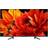 Sony KD-49XG8396