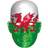 Rubies Wales Flag Mask