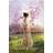 The Governess of Penwythe Hall (Paperback, 2019)