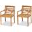 vidaXL 43051 2-pack Garden Dining Chair