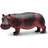 Safari Hippopotamus 270429