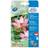 Avery Premium 300g/m² 40stk