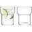 LSA International Utility Tumblerglas 30cl 2st