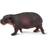 Safari Pygmy Hippo 229229