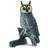 Safari Long Eared Owl 100093