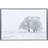 Focus Can-Can Ramme 15x20cm