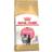 Royal Canin Persian Kitten 10kg