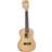 Tanglewood TWT 11
