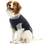 Buster Body Suit Easygo Dog XXXS