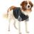 Buster Body Suit Easygo Dog XXXL