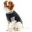 Buster Body Suit Easygo Dog XXL