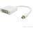 Exertis Connect Active DVI-D-DisplayPort Mini M-F Adapter