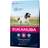 Eukanuba Thriving Mature Large Medium with Chicken 15kg