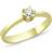 Nuran Star Ring - Gold/Transparent