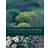 The Dry Gardening Handbook (Inbunden, 2019)