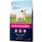 Eukanuba Caring Senior Small Breed 15kg