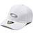 Oakley Tincan Cap - White/Gray