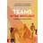 Teams in the spotlight: A handbook for team development (E-bok, 2019)