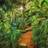 Komar Jungle Trail (8-989)