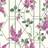 Cole & Son Wisteria (115/5013)