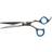 Pierre Beauvais Hair Scissors 6.5"