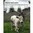 Fäbod and seter: summer farms on the Scandinavian peninsula (Inbunden)