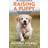The Ultimate Guide to Raising a Puppy (Paperback, 2020)