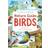 RSPB Nature Guide: Birds (Paperback, 2020)