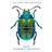 Extraordinary Insects: Weird. Wonderful. Indispensable. the Ones Who Run o (Häftad)