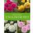 David Austin's English Roses (Inbunden, 2020)