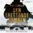 Den trettonde bomben (Ljudbok, MP3, 2020)
