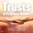 Trusts A Practical Guide 1 (Ljudbok, MP3, 2020)